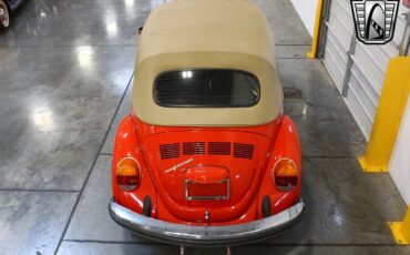 Volkswagen-Beetle-Classic-1979-8