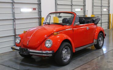 Volkswagen-Beetle-Classic-1979-9