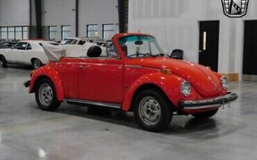 Volkswagen-Beetle-Classic-Cabriolet-1979-5