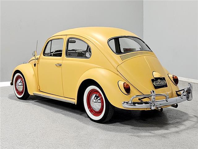 Volkswagen-Beetle-Classic-Coupe-1964-3