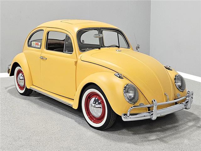 Volkswagen-Beetle-Classic-Coupe-1964-5