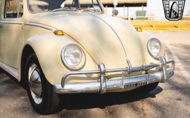 Volkswagen-Beetle-Classic-Coupe-1965-10