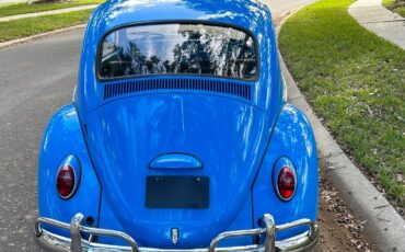 Volkswagen-Beetle-Classic-Coupe-1965-10