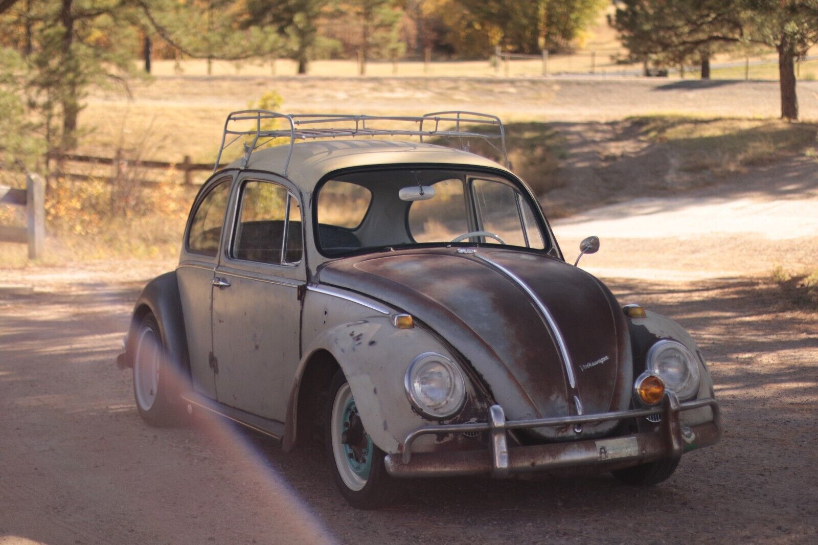 Volkswagen-Beetle-Classic-Coupe-1965-2