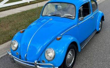 Volkswagen-Beetle-Classic-Coupe-1965-27