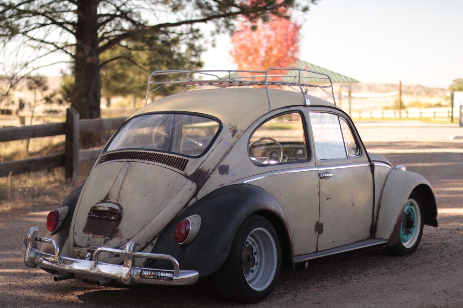 Volkswagen-Beetle-Classic-Coupe-1965-3