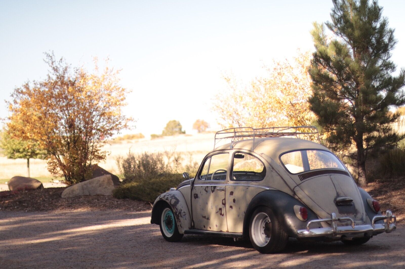 Volkswagen Beetle - Classic Coupe 1965 à vendre