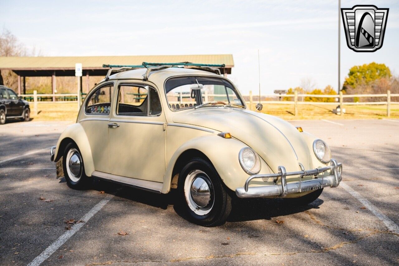 Volkswagen-Beetle-Classic-Coupe-1965-8