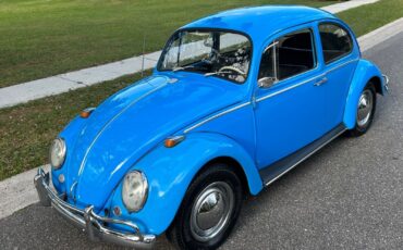 Volkswagen-Beetle-Classic-Coupe-1965-9