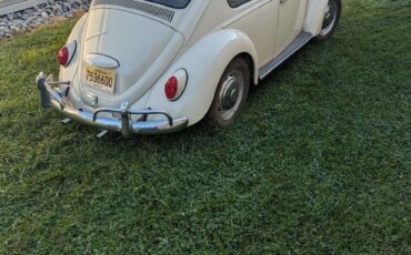 Volkswagen-Beetle-Classic-Coupe-1967-1