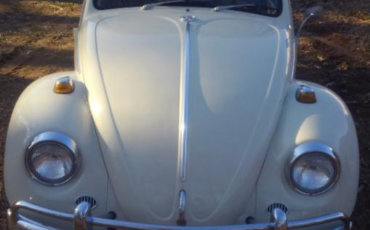 Volkswagen-Beetle-Classic-Coupe-1967-18