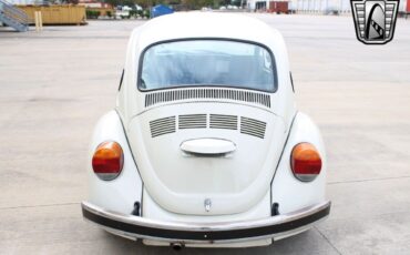 Volkswagen-Beetle-Classic-Coupe-1994-3