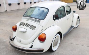 Volkswagen-Beetle-Classic-Coupe-1994-8