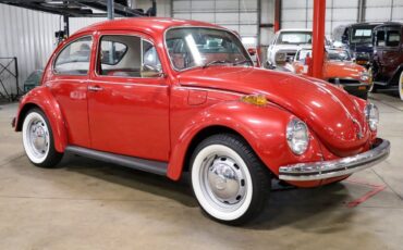 Volkswagen-Beetle-New-1971-11