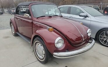 Volkswagen-Beetle-New-1975-1