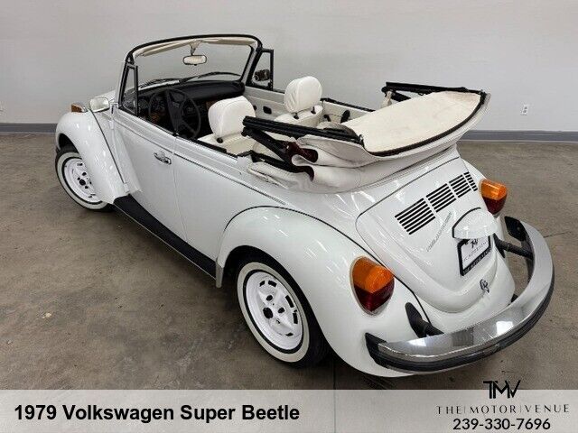 Volkswagen-Beetle-New-1979-10