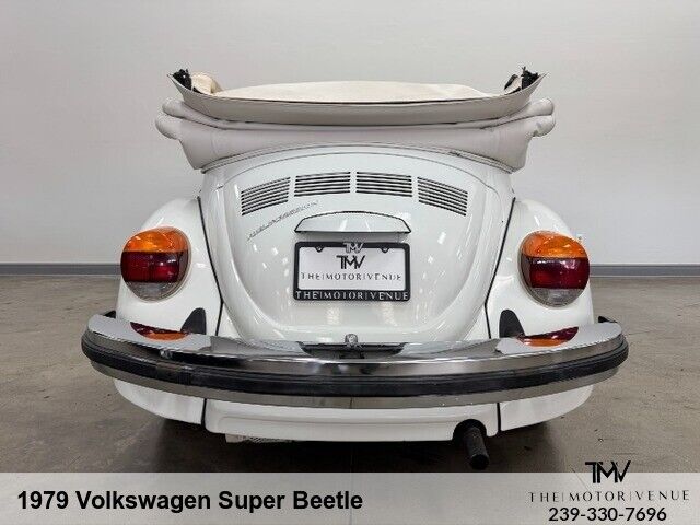 Volkswagen-Beetle-New-1979-11