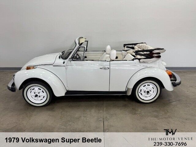 Volkswagen-Beetle-New-1979-8