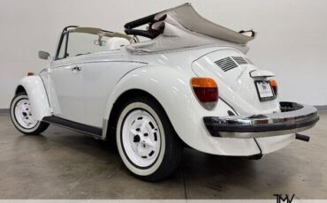 Volkswagen-Beetle-New-1979-9