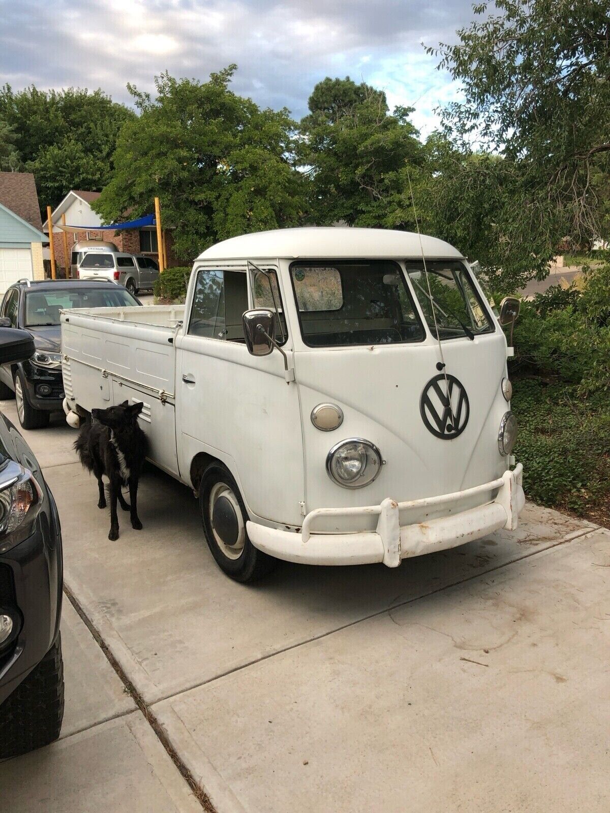 Volkswagen Bus/Vanagon  1962 à vendre