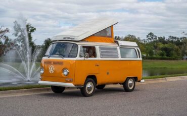 Volkswagen Bus/Vanagon 1969