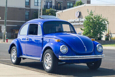 Volkswagen-Super-Beetle-1971-11