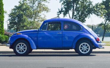 Volkswagen-Super-Beetle-1971-2