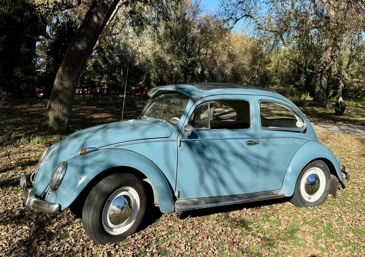 Volkswagen-Vw-beetle-1958-1