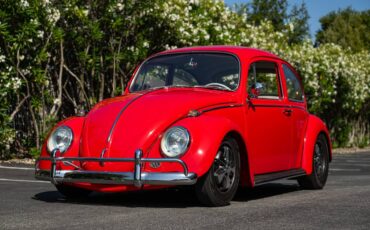 Volkswagen-Vw-beetle-1965-1