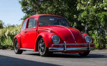 Volkswagen-Vw-beetle-1965-23