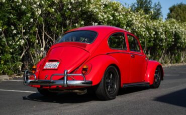 Volkswagen-Vw-beetle-1965-3