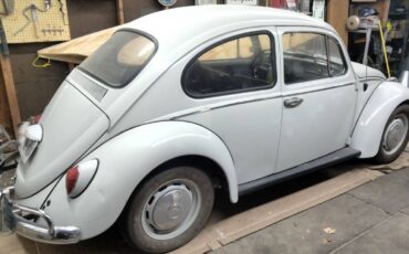 Volkswagen-Vw-beetle-1966-1