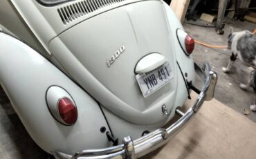 Volkswagen-Vw-beetle-1966-2