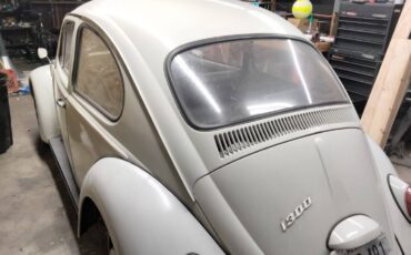 Volkswagen-Vw-beetle-1966-3