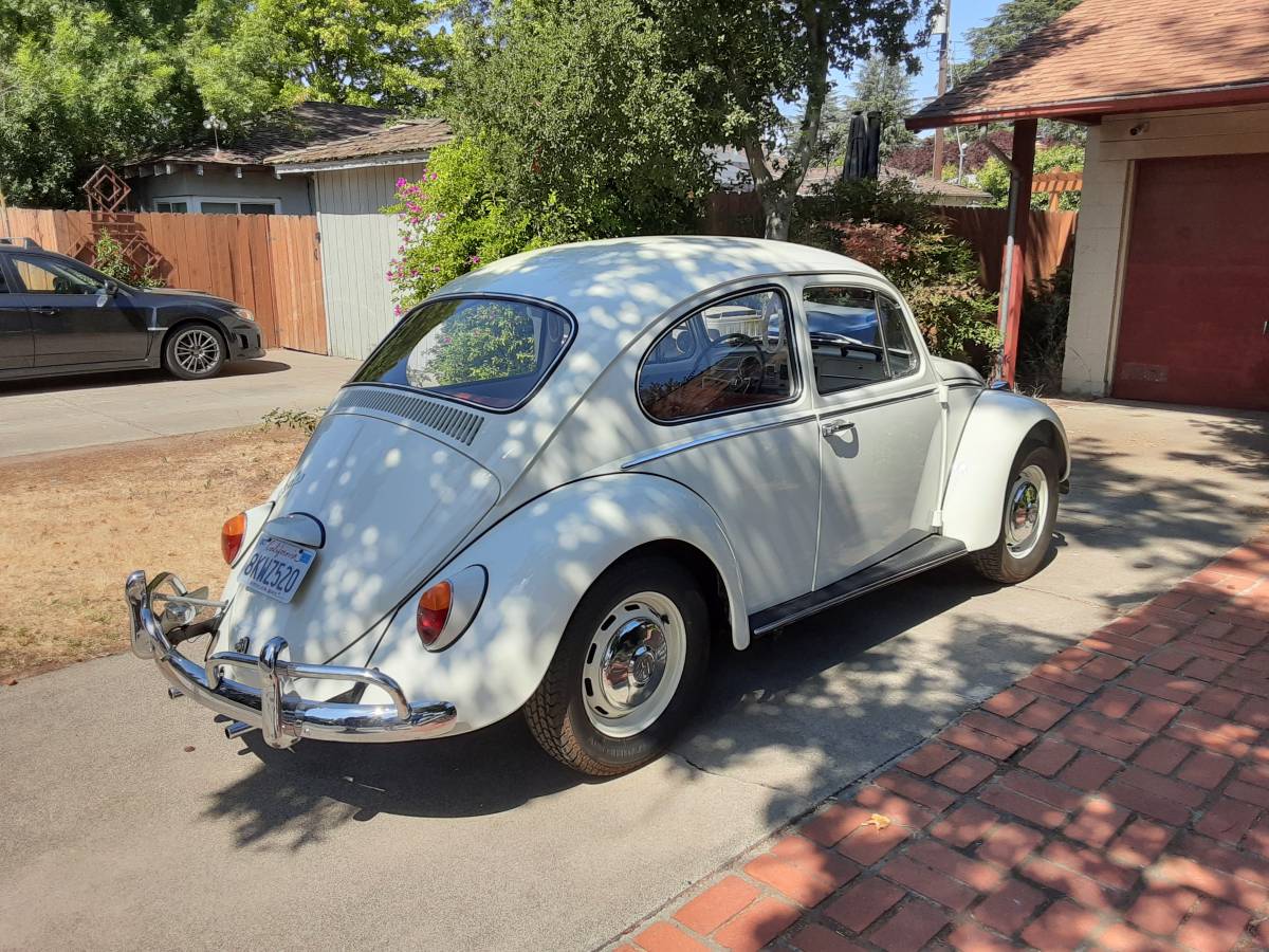 Volkswagen-Vw-beetle-1966-3