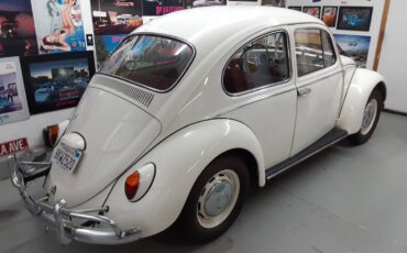 Volkswagen-Vw-beetle-1966