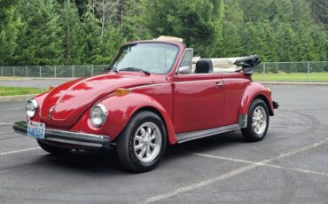 Volkswagen-Vw-beetle-1975