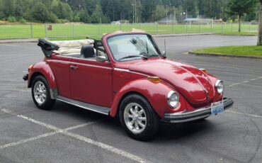 Volkswagen-Vw-beetle-1975-8