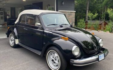 Volkswagen-Vw-beetle-1979-11