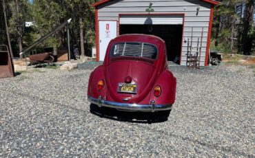 Volkswagen-Vw-bug-1965-1