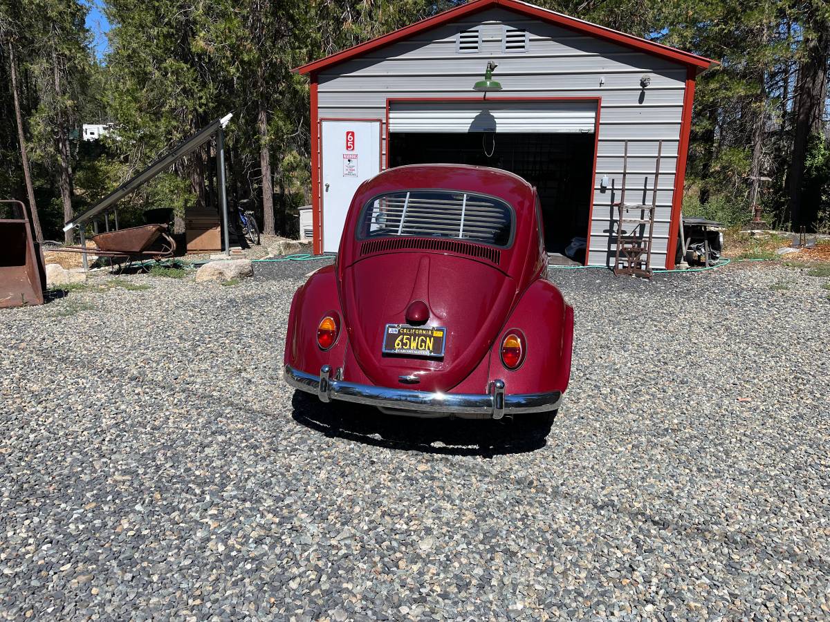 Volkswagen-Vw-bug-1965-1