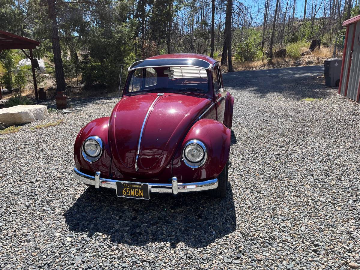 Volkswagen-Vw-bug-1965-2