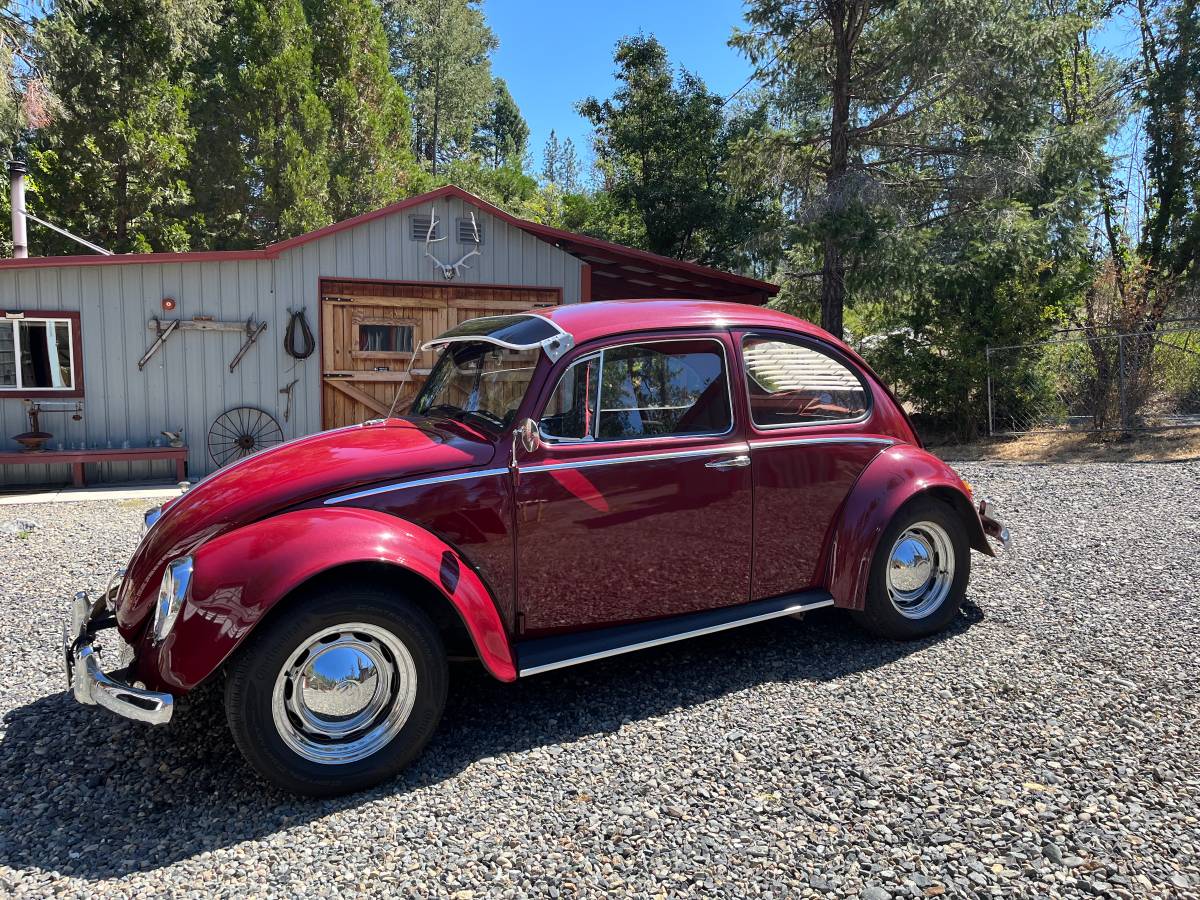 Volkswagen-Vw-bug-1965-4