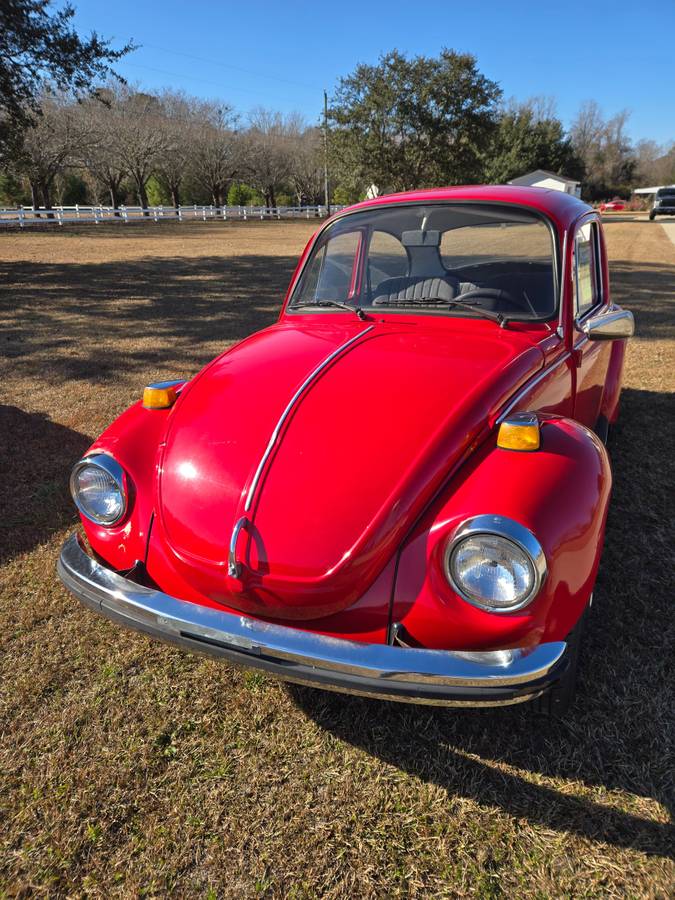 Volkswagen-Vw-super-beetle-1973-3