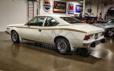 AMC-Hornet-Coupe-1975-White-Tan-102176-11