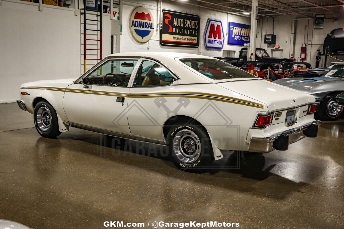 AMC-Hornet-Coupe-1975-White-Tan-102176-11