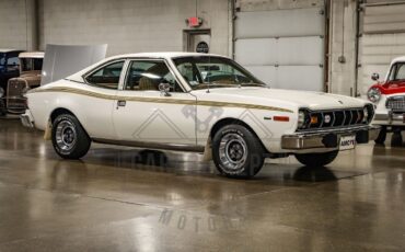 AMC Hornet  year1}