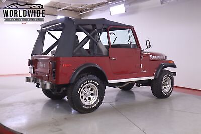 AMC-JEEP-CJ7-1979-5