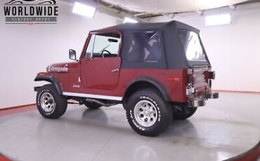 AMC-JEEP-CJ7-1979-8