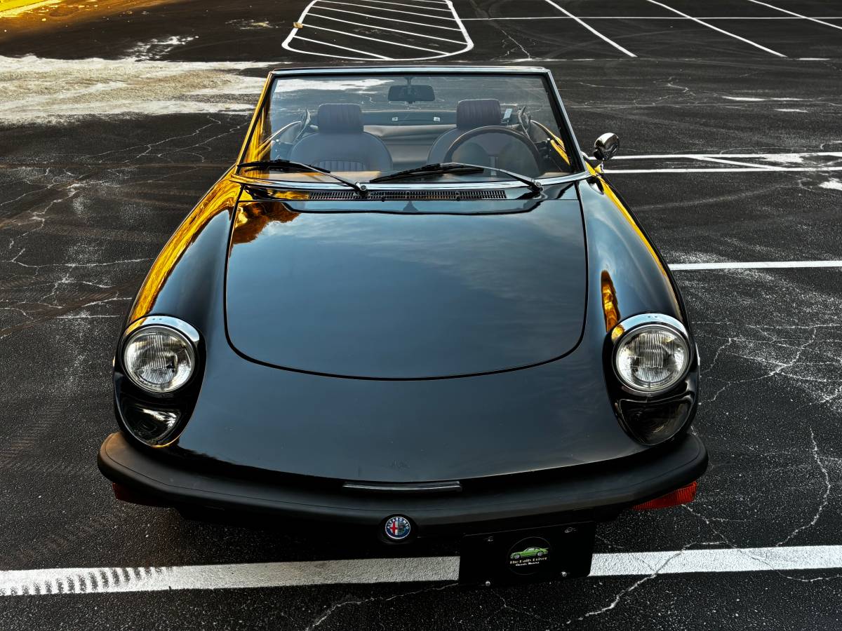 Alfa-romeo-Spider-1976-89434-2